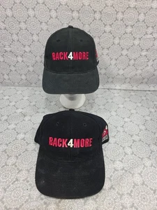 2- Vintage Jordan Chicago Bulls Back 4 More SnapBack Hat Cap Basketball NBA - Picture 1 of 14