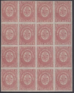 SG 20 Newfoundland 1862-64. 6d rose-lilac. Mint block of 16. Margins all... - Picture 1 of 1