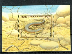 RETTILI - REPTILES TAJIKISTAN 1995 block - Picture 1 of 1