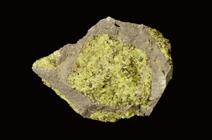 Peridot on Basalt 3 1/2" 8-12 Oz Natural Heart Chakra Healing Crystal Gemstone - Picture 1 of 4