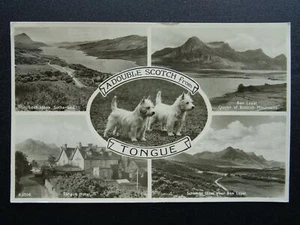 Scotland Sutherland TONGUE 5 Image Multiview c1950s RP Postcard - Picture 1 of 2