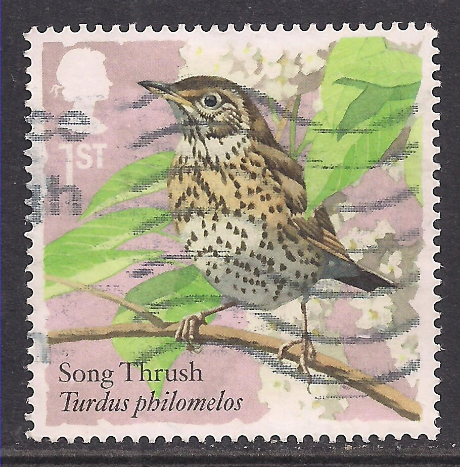 GB 2017 QE2 1st Songbirds Song Thrush used SG 3954 ( B1037 ) - Image 1 of 1