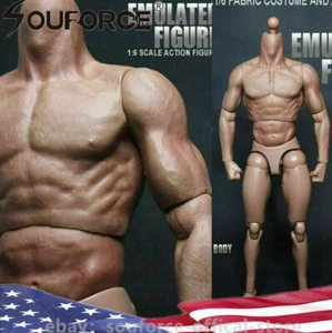 Figura de acción masculina de 12 pulgadas cuerpo muscular para escala 1/6 HT Man Head modelo ZC Toys - Imagen 1 de 6