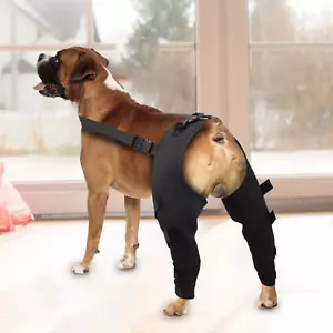 Dog Knee Brace Knee Pads Pet After Legs Wrap Injury Recover Protector Adjustable - Picture 1 of 10