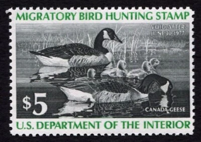 RW43 F-VF MNH 1976 Canada Geese US Federal Duck Stamp Migratory Waterfowl - Image 1 of 3