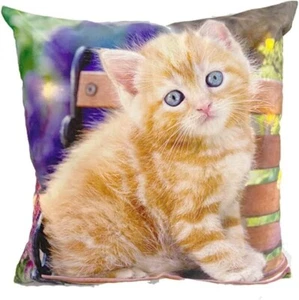 Alottagifts Kittens Cat Orange Bench Lights Up Throw Pillow Cover  18x18 - Picture 1 of 3