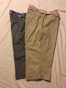 LEE: Women Natural Fit, Stretch Capri Pants w/Belt: Shark, Caramel, 22W, 24W - Picture 1 of 9