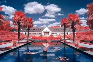 580nm Infrared Filter, 67mm Lens ** See Video ** False Colour ** UK Seller - Picture 1 of 13