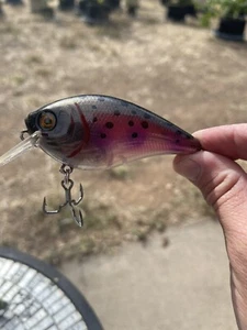 Custom Painted Crankbait 4” Squarebill Magnum Juicy Trout - Picture 1 of 5