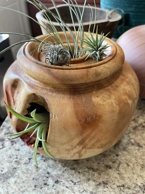 "Caja Flaming Elder Burl forma hueca 6x4"" Art Deco girada a mano por Matt Allen" Foto 1 de 4