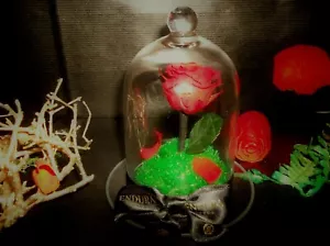 Belle Precious By Endura Roses100% Natural Preserved Last Upto Lifetime - Picture 1 of 7