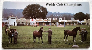 Title: Welsh Cob Champions: (Allen Breed Series) - 1985 - Picture 1 of 6