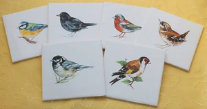15x15 Küchenfliesen mit Vogeldekor 6er Set (Amsel,Kohlmeise,Zaunkönig,Stieglitz) - Bild 1 von 7