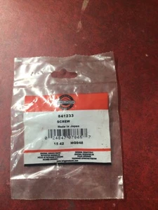 Tornillo Briggs & Stratton OEM 841233 - Imagen 1 de 2
