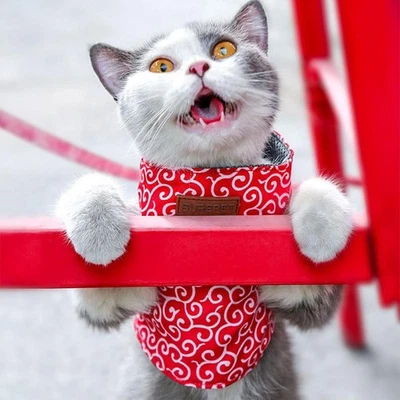 Katzengeschirr Hunde und Katzenweste mit Geschirr und Leine- G4S0 - Bild 1 von 4