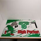 Genuine Tein High Performance Suspension Banner 70&quot;x23&quot; White Green HTF