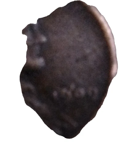 lincoln wheat cent errors Cover