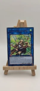 Wynn The Wind Charmer, Verdant Yu-Gi-Oh Card RIRA-EN046 - Picture 1 of 4