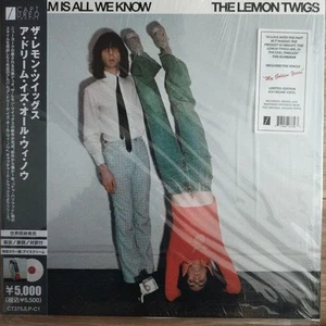 The Lemon Twigs A Dream Is All We Know - Picture 1 of 1