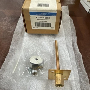 JOHNSON CONTROLS FTG18A-600R Remote Mounted Probe Kit FOR P32 - Picture 1 of 7