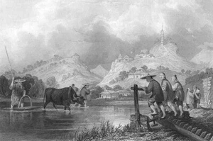 China, RICE FARM PADDY FIELDS SEED PLANTING COWS OXEN ~ 1842 Art Print Engraving - Picture 1 of 1