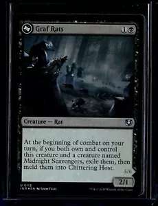 Graf Rats - 113 - Foil - INR - NM - MTG Magic the Gathering - Foto 1 di 1