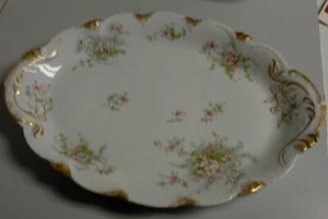 Theodore Haviland APPLE BLOSSOM (SCHLEIGER 146) 14-1/4" Oval Platter - Picture 1 of 1