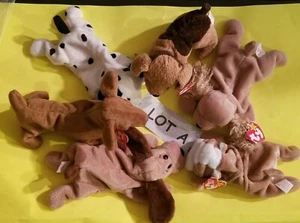BEANIE BABIES - Lot of 6 - Lot A - Used - It's a Doggy Dog World - All Dogs - Picture 1 of 6