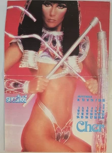 Cher - Very rare poster from Finland 43 X 28 cm - Finland 1977 - Bild 1 von 2