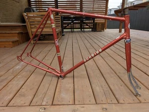 VINTAGE SCHWINN LE TOUR TOURIST FRAMESET, LARGE, VERY GOOD CONDITION - Foto 1 di 5