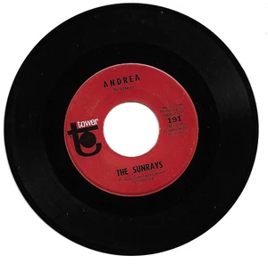 The Sunrays Andrea Tower 45 Surf Sunshine Pop 1966 - Picture 1 of 2