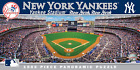 Masterpieces MLB New York Yankees Stadium Panoramic Jigsaw Puzzle, 1000-Piece, O