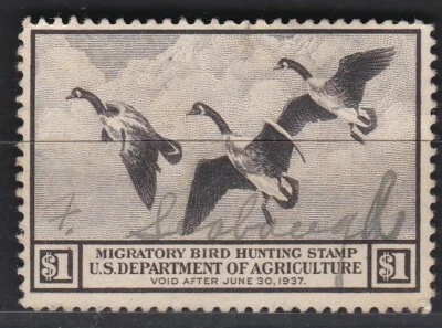 USA 1936 DUCK HUNTING PERMIT STAMP "VOID AFTER JUNE 30,1937"  # 1 - Image 1 of 2