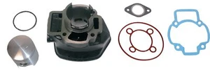 Barril Std para 2009 Piaggio Zip 50 SP (2T) (L/C) - Imagen 1 de 1