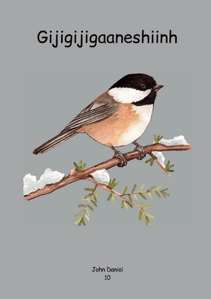 Gijigijigaaneshiinh by John Daniel (Ojibwa) Paperback Book - Image 1 of 1