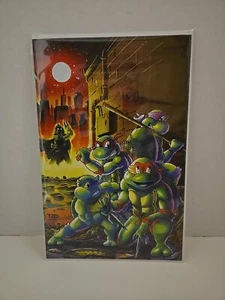 Cubierta de poncho virgen Stashhloot TMNT: Saturday Morning Adventures #11 casi nueva - Imagen 1 de 2