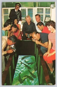 Florida Silver Springs 1970s People Around Fish Tank Glass Bottom Boats Postcard - Picture 1 of 2