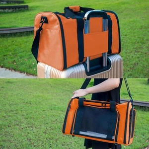 Large Soft Sided Pet Carrier for Cats and Puppies up to 25LB Collapsible NEW - Picture 1 of 6