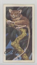 1962 Brooke Bond Asian Wild Life Tea Tarsier #7 4az
