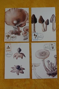 Lussemburgo - Set completo 4 carte massime funghi champignon - FDC 4.3.1991 - Foto 1 di 1