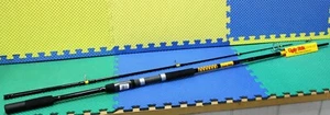 Ugly Stik Bigwater 10' Spin Rod Medium Heavy 2-Piece BWSF1530S102 1539235 - Picture 1 of 7