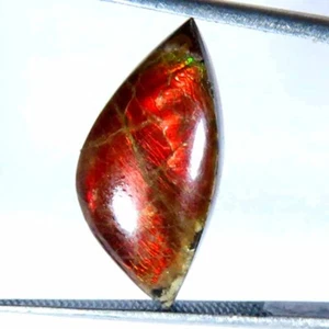 4.90Cts.100% Natural Red Fire Ammolite Fancy Cabochon 9x18x4mm Loose Gemstones - Picture 1 of 5