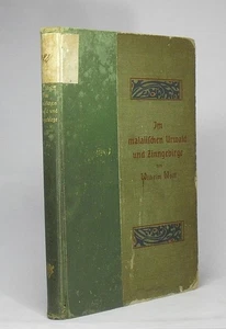 Im malaiischen Urwald und Zinngebirge. Mit sechzehn Abbildungen nach Aufnahmen d - Picture 1 of 1