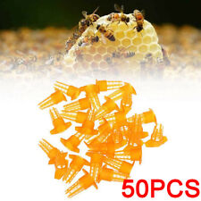 50pcs Bee king Protection Cover Rearing Tools New Bees Queen Cages Cell US NEW