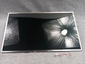 AI Optronics B156XW01 V.0 Auo LCD HD Panel 15.6  - Picture 1 of 2