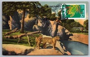 3895c Chinese Lunar New Year Tiger Maxi Card w/pictorial Cancel - Picture 1 of 2