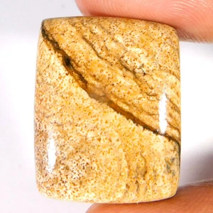 25.85Cts. 100% Natural Unique PICTURE Jasper Cushion Cabochon Loose Gemstone - Picture 1 of 3
