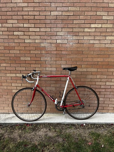 Scott Mountain Bike Frame 1908 Yellow From Japan | eBay