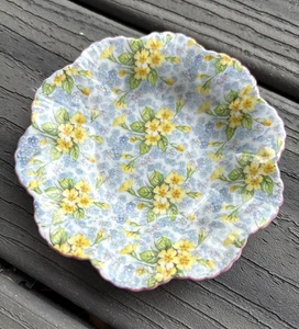 Vintage Shelley Primrose Pin Plato Baratija Tocador Inglaterra Hueso Fino China Decoración - Imagen 1 de 5