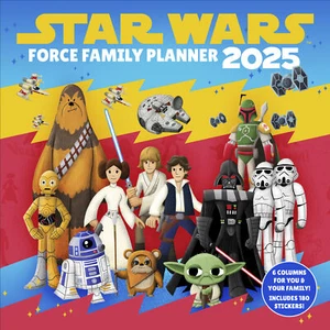 Kalender 2025 Wand - Star Wars Force Familienplaner 2025- 30x60cm Streifenplaner - Bild 1 von 4